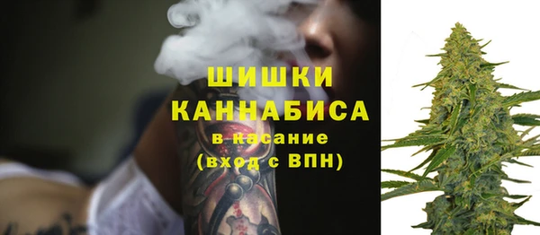 прущие грибы Лагань