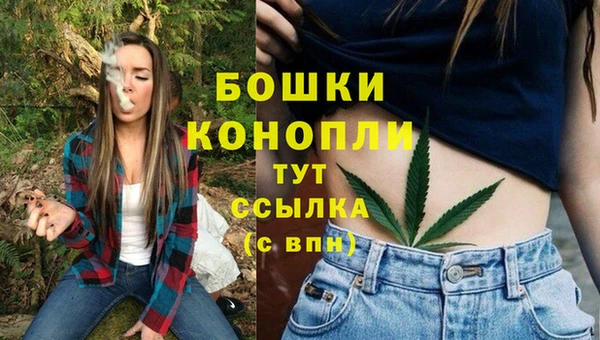 стафф Лабытнанги