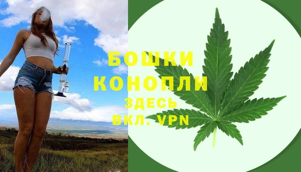 стафф Лабытнанги