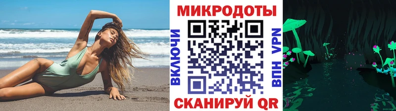 Купить  Ахтубинск  Псилоцибиновые грибы GOLDEN TEACHER 